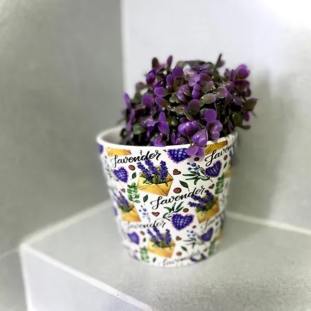 Melody Apartment Tirana