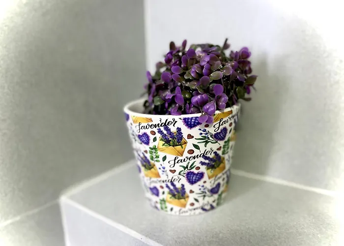 Melody Apartament Tirana